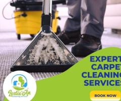 Carpet Cleaning Services Pittsburgh