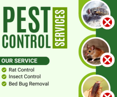 Say Goodbye to Pests with Professional Pest Control Northcote