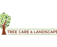 Reliable Tree Service in Rosemont: Keeping Your Trees Healthy