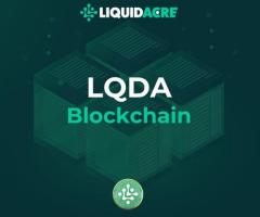 LiquidAcre | Revolutionizing the Crypto Market with NFA: Fast 60-Second Land Transactions