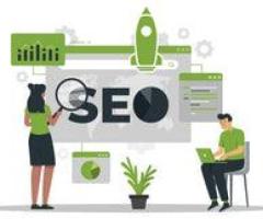 Expert SEO Solutions in Indore with Evitamin - 1