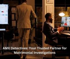 Matrimonial Detective Agency: Trusted Investigative Services by AMX Detectives