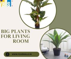 Transform Your Space with Big Plants for Living Room Décor