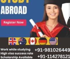 Expert Study Abroad Consultants in Saket - Study Metro Delhi