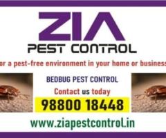 Bedbug Pest control cleaning | Kammanahalli bengaluru | 100% safe | 4008