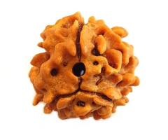 Discover Spiritual Harmony with the 8 Mukhi Rudraksha