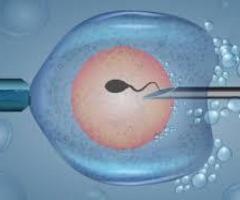 Best Fertility Hospitals in Bangalore - Best fertility clinic near me - Best IVF Doctors Bangalore