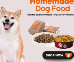 High-Quality Dog Products for Your Furry Friends: Yodoggo