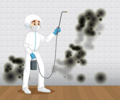 Mold Testing and Inspections: Safeguard Your Space with Funguy Inspections