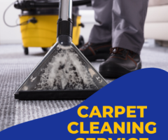 Spotless Carpets, Same Day Service in Randwick