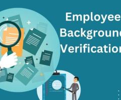 Ensure Trust with BD Services' Employee Background Verification