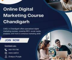 Online Digital Marketing Course In Chandigarh