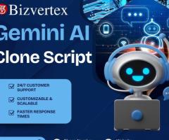 Launch a Successful AI-Chatbot Like Google's Gemini AI At Minimal Cost