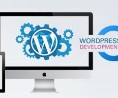 Web Development Company in USA