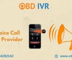 Bulk Voice Call Services