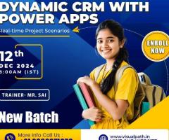 Online New Batch On Microsoft Dynamics CRM with Power Apps