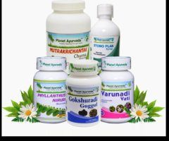 Ayurvedic Treatment Of Kidney Stone - Stone Crusher Pack By Planet Ayurveda