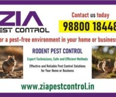 Get rid of Rodent | Rodent control treatment | hotels | 4029 | apartments