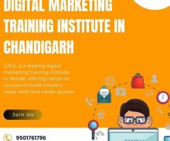 Digital Marketing Training Institute in Chandigarh