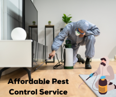 Protect Your Home with Pest Control Point Cook – Fast, Safe, Effective