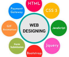 Customized Web Designing in Hamirpur for Local Brands