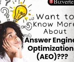 What is Answer Engine Optimization?