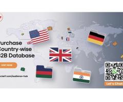 Purchase Country-wise B2B Database – Connect with Global Business Leads