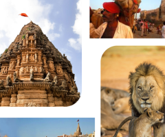 Explore Gujarat: Top Holiday Packages for an Unforgettable Experience