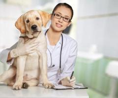 Trusted Pet Care Veterinary Center for Happy Pets