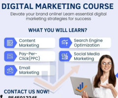 Digital Marketing Training Institute