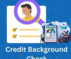 Reliable Credit Background Check Services by BD Services