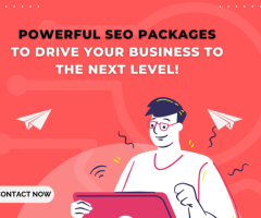 Boost Your Business with Our Complete SEO Packages