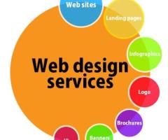 Web Design and Development Services | WEB NEEDS