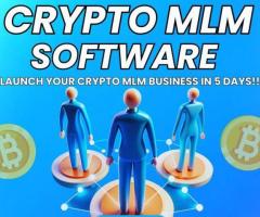 Level Up Your MLM Business with Our All-in-One Crypto MLM software