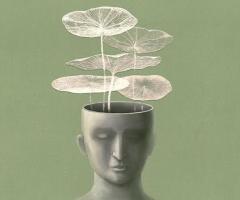 Mindfulness as a Mental Health Therapy for Navigating Cancer’s Emotional Journey