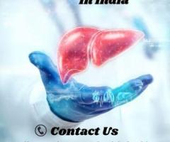 Pancreas Transplant In India