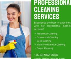 Professional Cleaning Services in Houston