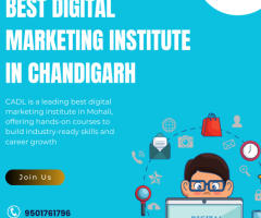 Best Digital Marketing Institute In Chandigarh