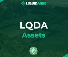 LiquidAcre | Revolutionizing the Crypto Market with NFA: Fast 60-Second Land Transactions