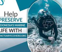 Help Preserve Indonesia's Marine life with Sanctuary Eco Hero