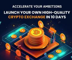 Develop Your Crypto Exchange Software at low Cost from hivelance