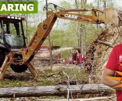 Land Clearing in NJ – Amazing Tree Services