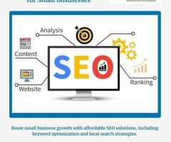 Budget-Friendly SEO Solutions for Small Businesses