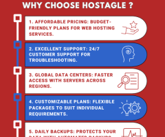 Hostagle - Best Hosting Provider