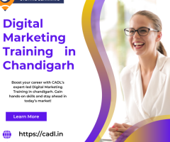 Digital Marketing Training In Chandigarh