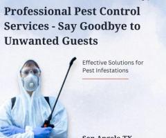 Eliminate Pests Now: Powerful & Trusted Pest Control Service