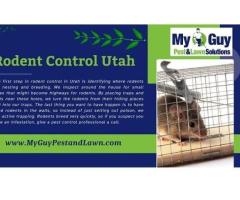 Effective Rodent Control in Utah with My Guy Pest and Lawn Solutions