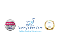 Premium Dog Kennels in Reading: Safe and Caring Stays for Your Pet