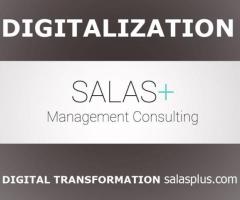 Digitalization, Digital Transformation and Project Management - salasplus.com