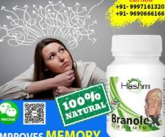 Boost Your Brain Power with Branole X Capsule